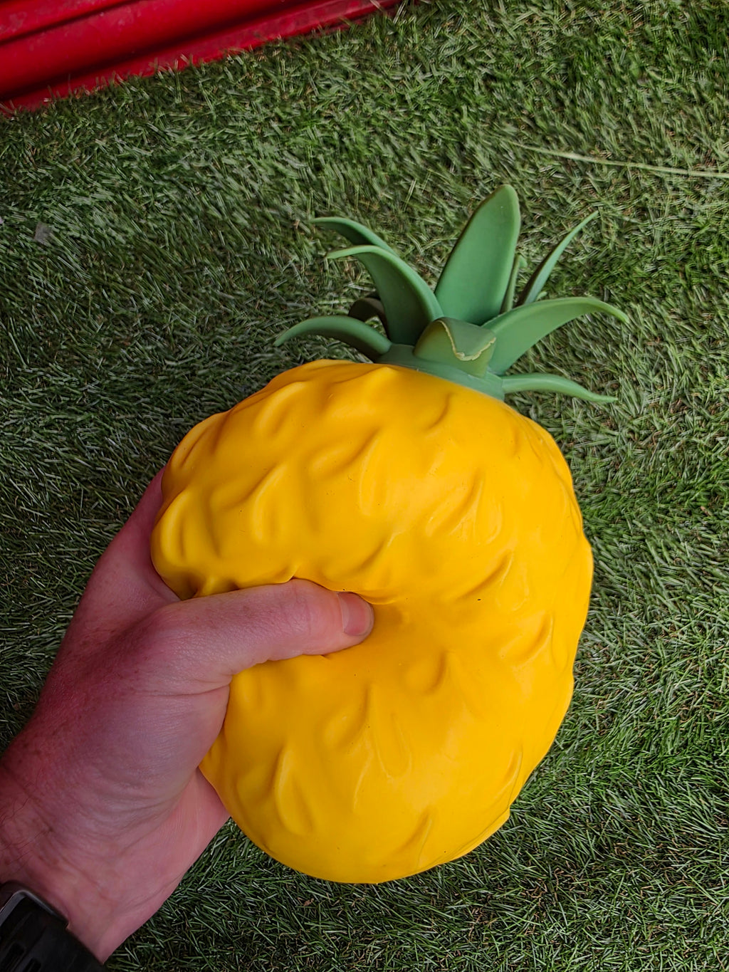 Giant Pineapple Squishy