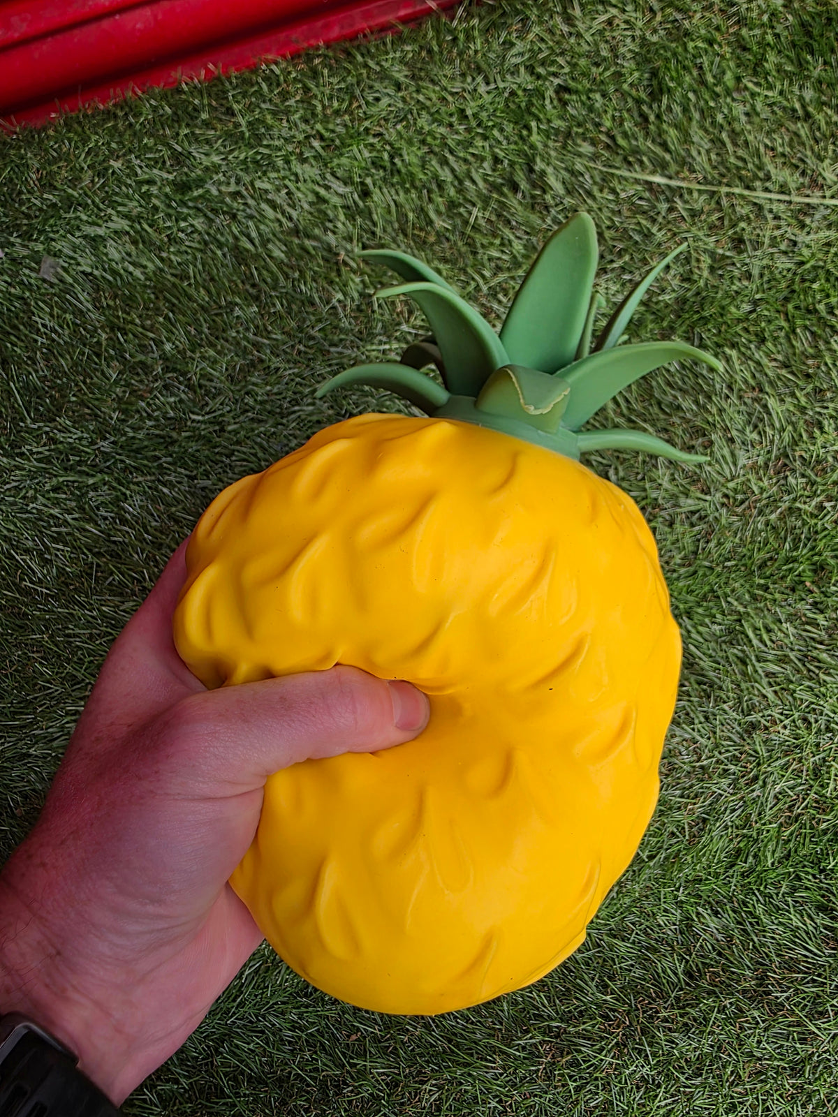 Giant Pineapple Squishy
