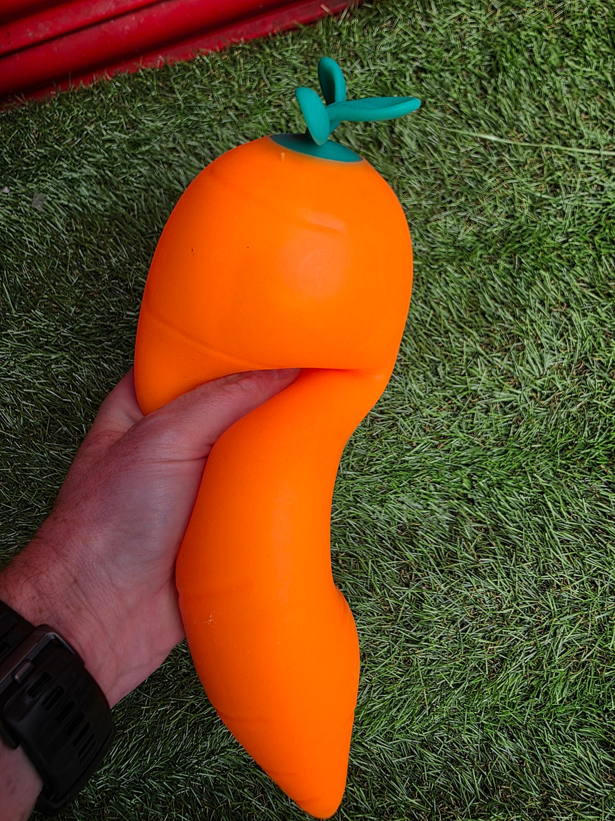Jumbo Carrot Squishy