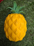 Giant Pineapple Squishy